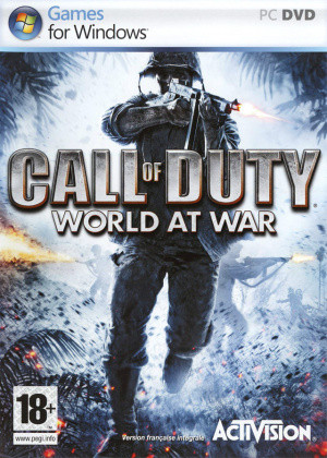 Call of Duty : World at War sur PC