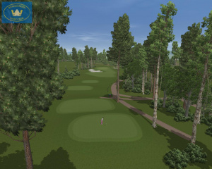 CustomPlay Golf 2009 sur Wii et sur PC