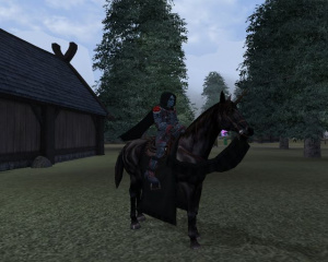 Dark Age Of Camelot : Darkness Rising : le site