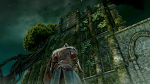 Dark Souls 2 fait le plein d'images