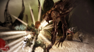 Images de Dragon Age : Origins
