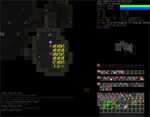 Dungeon Crawl : Stone Soup