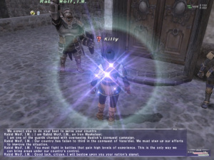 Final Fantasy XI traduit des deux côtés du Rhin