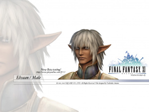 Vers le Online / Final Fantasy XI