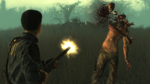 Images de Fallout 3 : Point Lookout