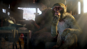 E3 2014 : Far Cry 4, édition collector et nouvelles images