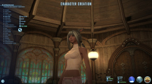 Final Fantasy 14 : Images de l'éditeur de personnages