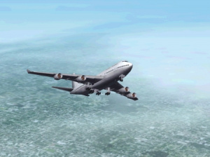 Flight Sim 2002 : Le site