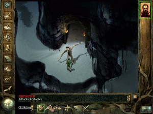 Icewind Dale : images