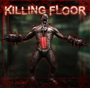 Images de Killing Floor