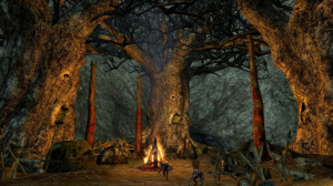 Images du Seigneur des Anneaux Online : Le Siège de la Forêt Noire