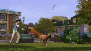 Images des Sims 3 : Animaux & Cie