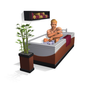 Une touche de luxe et de romantisme pour les Sims 3