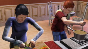 La PETA distingue Les Sims 3