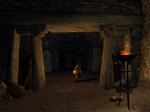 Le Seigneur Des Anneaux Online : Shadows Of Angmar - PC