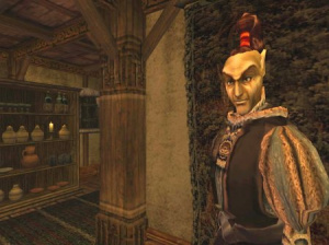 The Elder Scrolls III : Morrowind - 1ère partie