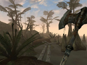 1. The Elder Scrolls III : Morrowind / PC-Xbox