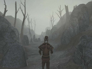 Deux dates pour Morrowind