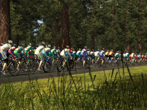 Images de Cycling Manager 2008
