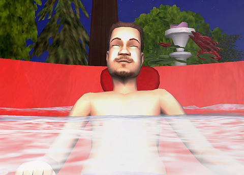 Images : Les Sims Histoires De Vie