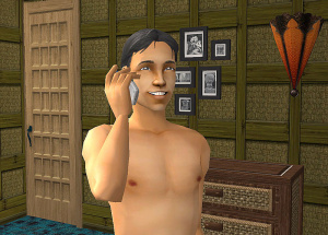 Images : Les Sims Histoires De Vie