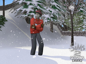Images : Les Sims 2 : Au Fil Des Saisons