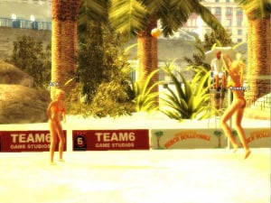 Images rebondissantes : Sunshine Beach Volleyball