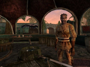 The Elder Scrolls III : Morrowind - 3ème partie