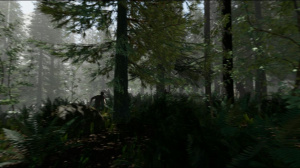 Nouvelles images pour The Forest