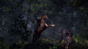 The Witcher 3 : Images et infos