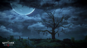 Nouvelles images pour The Witcher 3 : Wild Hunt