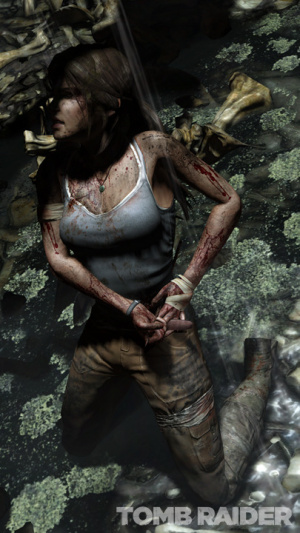 12ème - Tomb Raider / PC-PS3-360