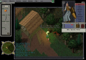 Ultima Online : Lord Blackthorn's Revenge