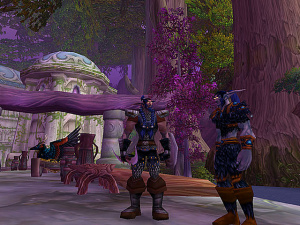World of Warcraft : les Night Elves