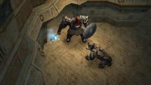 Dungeon Siege : Throne Of Agony