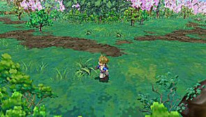 Images : Innocent Life : New Harvest Moon