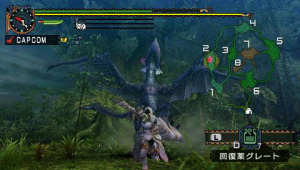 Images : Monster Hunter Portable 2nd G