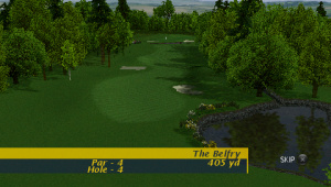 Images : ProStroke Golf PSP