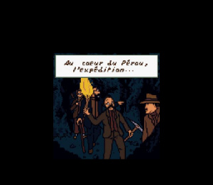 Tintin : Le Temple du Soleil