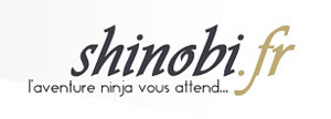 Shinobi.fr sur Web