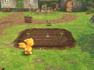 Chocobo's Dungeon se précise sur Wii