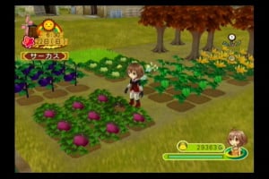 Harvest Moon de retour sur Wii et DS