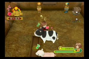 Harvest Moon de retour sur Wii et DS