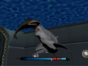 Images de Jaws : Ultimate Predator