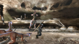 TGS 2008 : Images de Monster Hunter 3