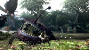 Images de Monster Hunter 3