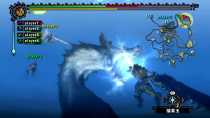 Monster Hunter 3 (Wii) - partie 1