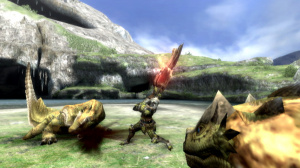 TGS 2009 : Images de Monster Hunter 3