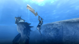 TGS 2009 : Images de Monster Hunter 3