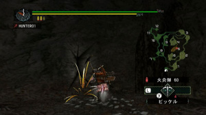Images de Monster Hunter G sur Wii
